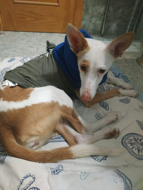 multimedia-foto63079-447-1