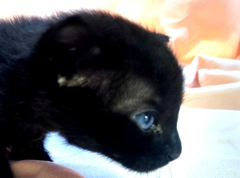 multimedia-foto63085-281-1