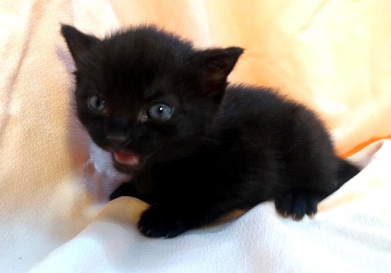 multimedia-foto63089-282-1