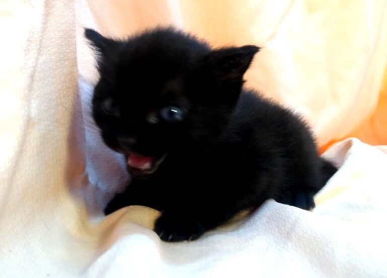 multimedia-foto63091-282-1