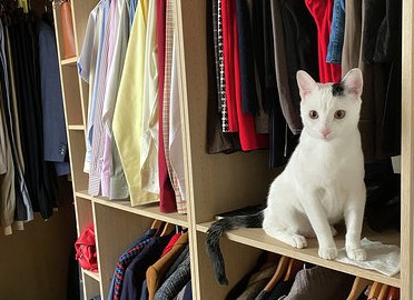 multimedia-foto63138-681-1