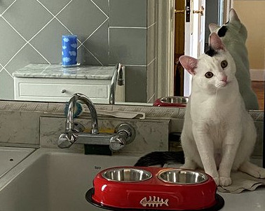 multimedia-foto63142-681-1