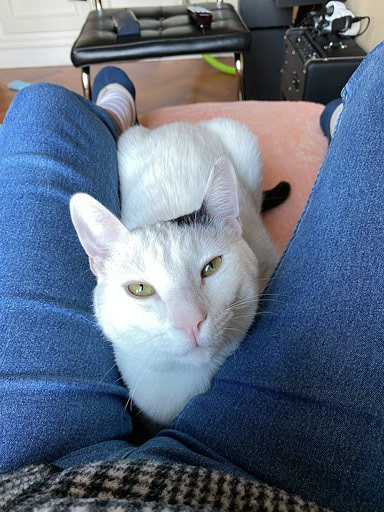 multimedia-foto63144-682-1