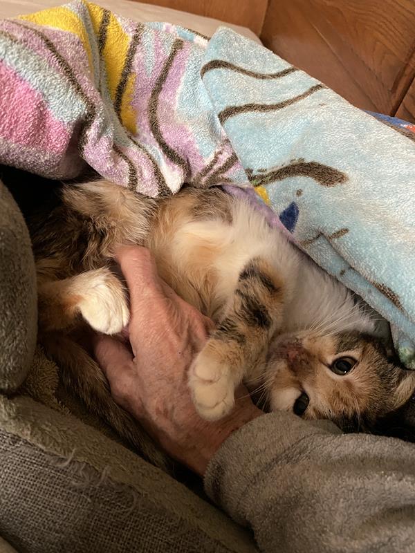 multimedia-foto63148-712-1