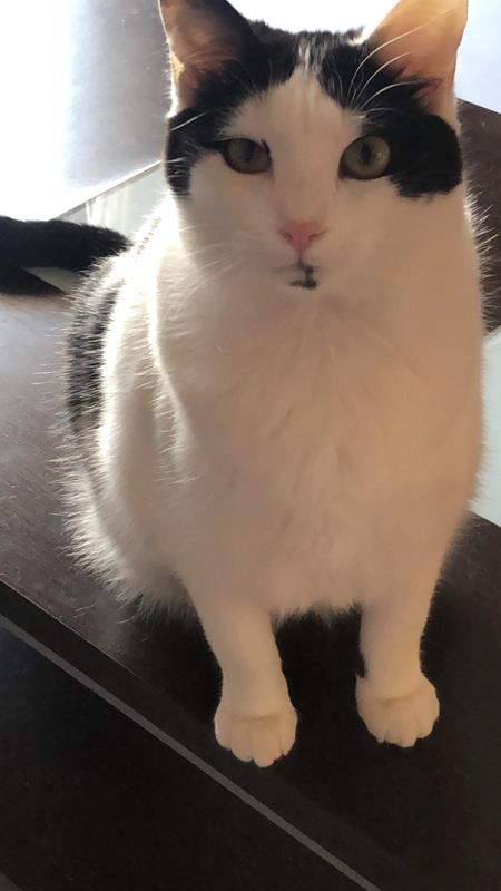 multimedia-foto63156-676-1