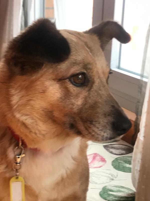 multimedia-foto63163-391-1