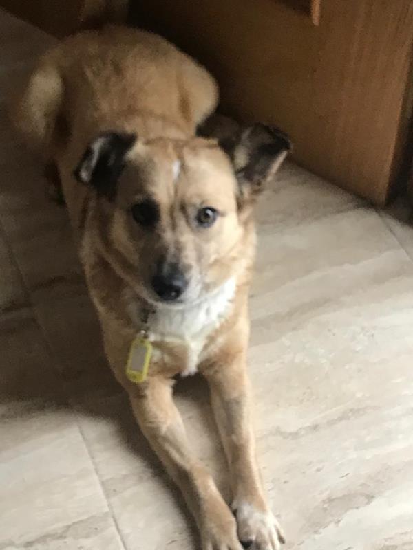 multimedia-foto63164-392-1