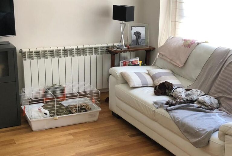 multimedia-foto63165-440-1