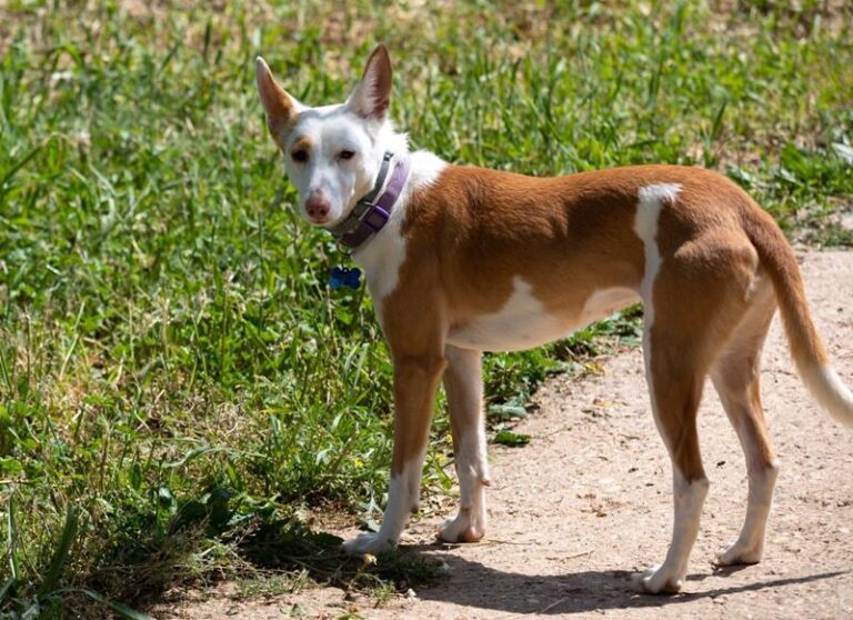 multimedia-foto63168-602-1