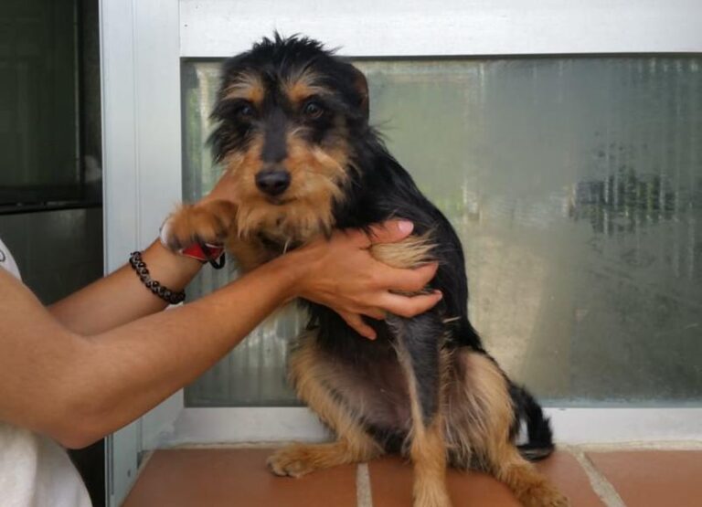 multimedia-foto63186-202-1