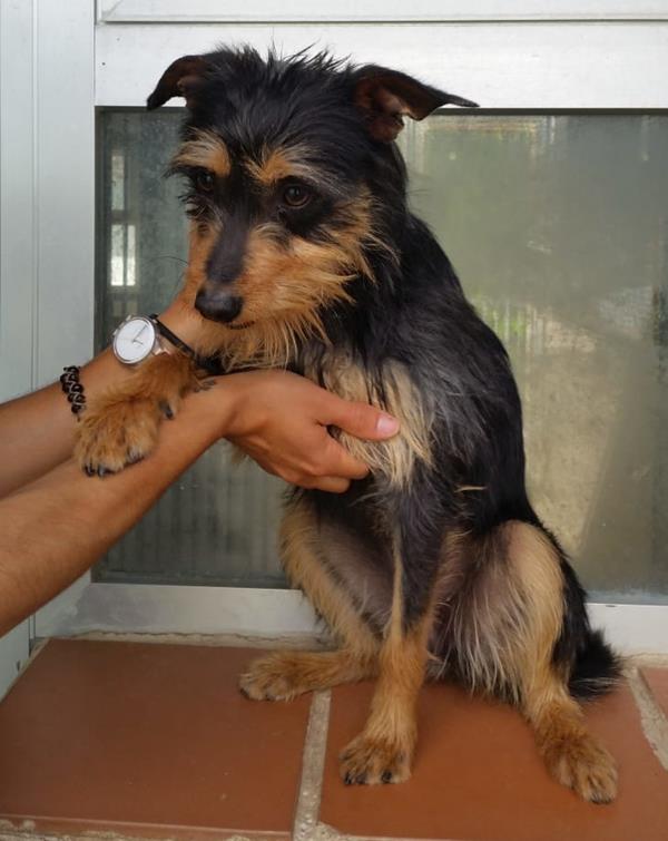 multimedia-foto63187-203-1