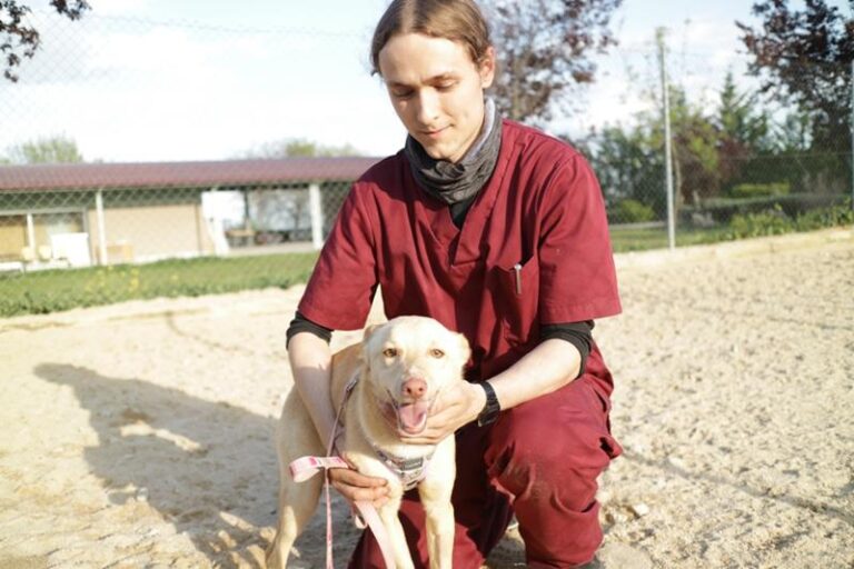 multimedia-foto63204-605-1