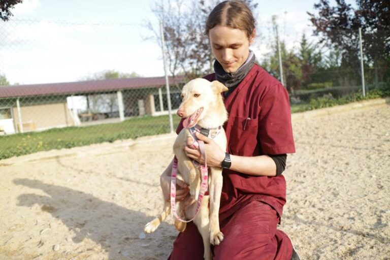 multimedia-foto63205-605-1