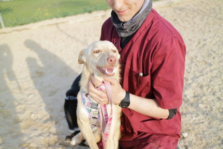 multimedia-foto63206-605-1