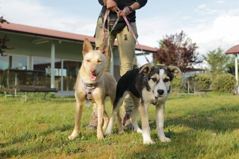 multimedia-foto63208-606-1