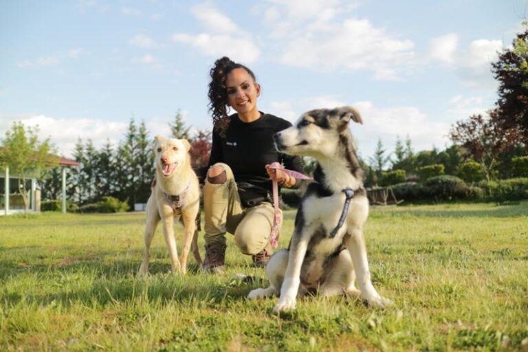 multimedia-foto63210-606-1