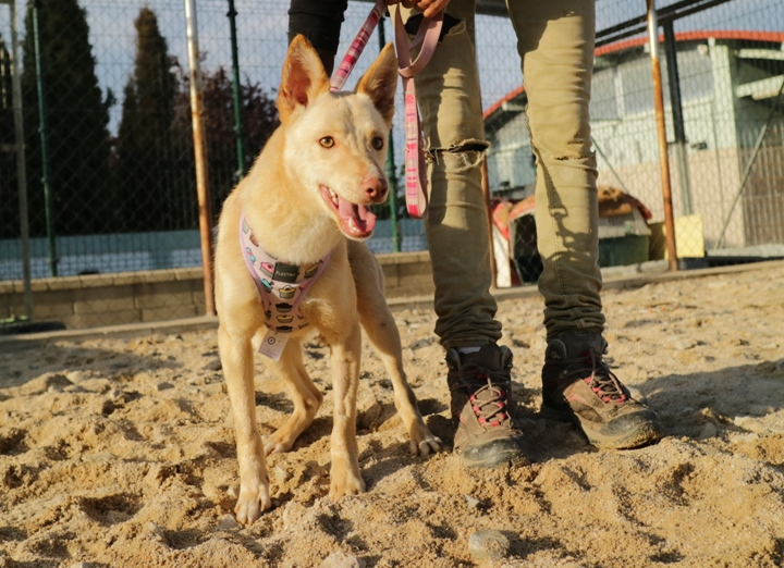 multimedia-foto63211-606-1