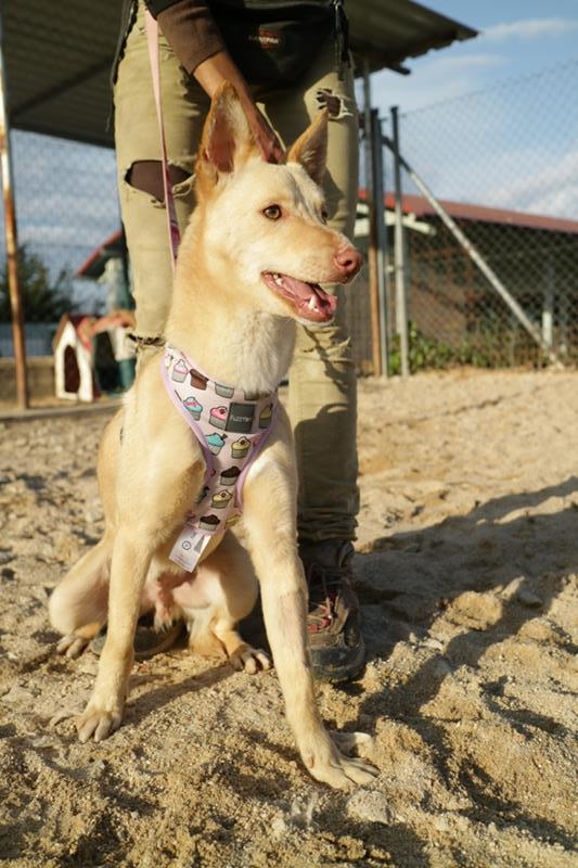 multimedia-foto63212-606-1