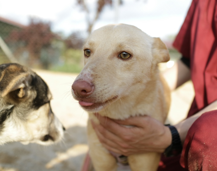 multimedia-foto63213-641-1