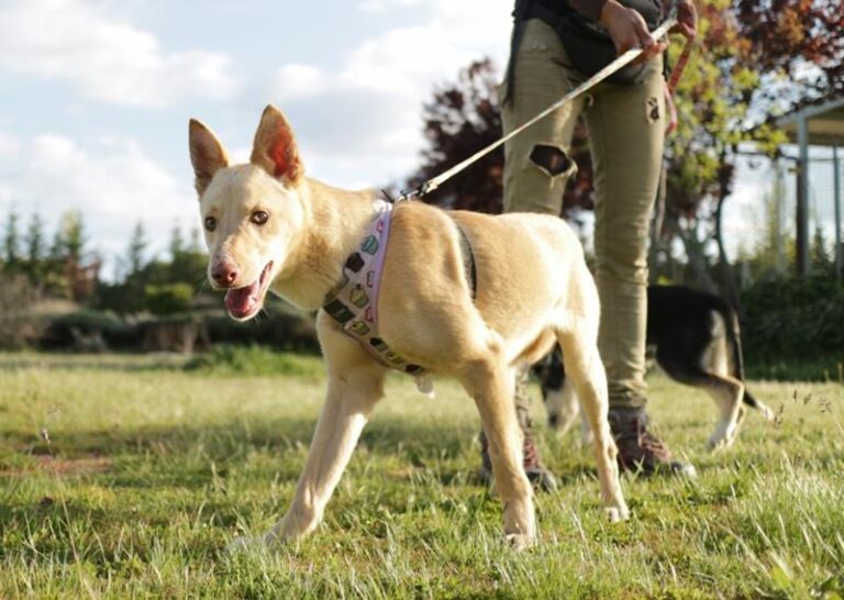 multimedia-foto63214-641-1