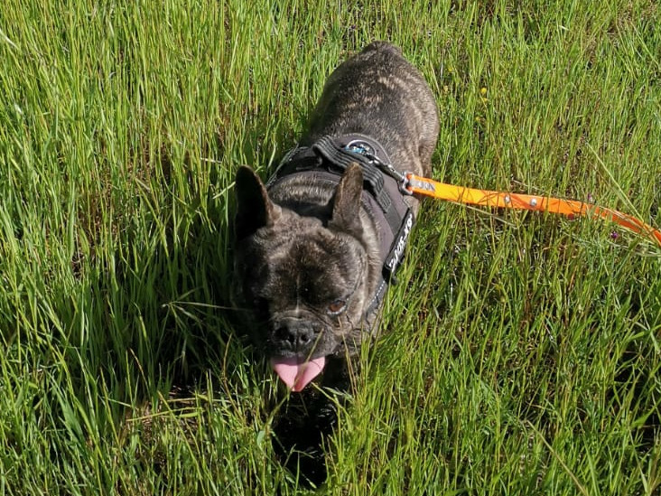 multimedia-foto63217-176-1