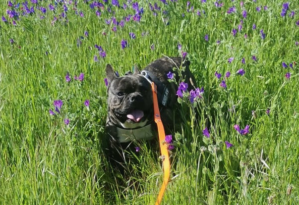 multimedia-foto63218-176-1