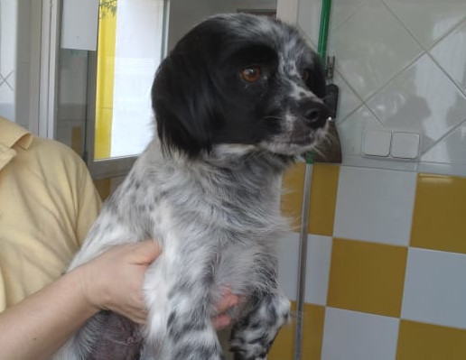 multimedia-foto63230-764-1