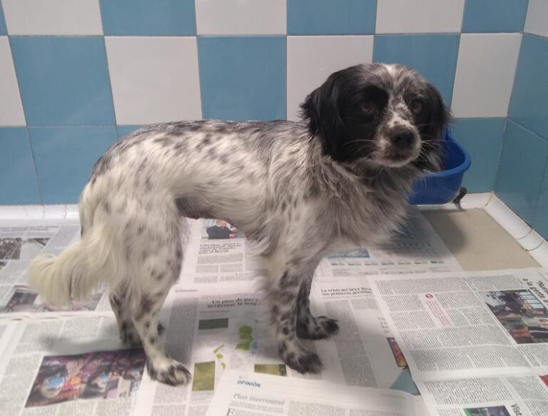 multimedia-foto63231-764-1