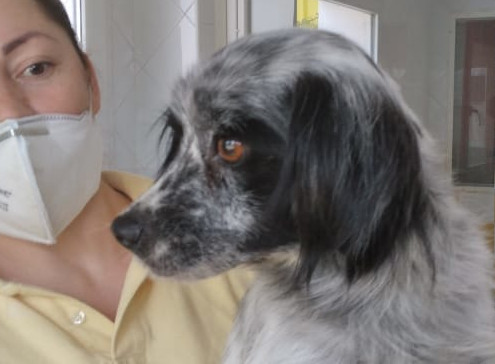 multimedia-foto63233-764-1