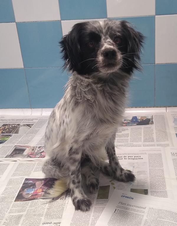 multimedia-foto63234-764-1