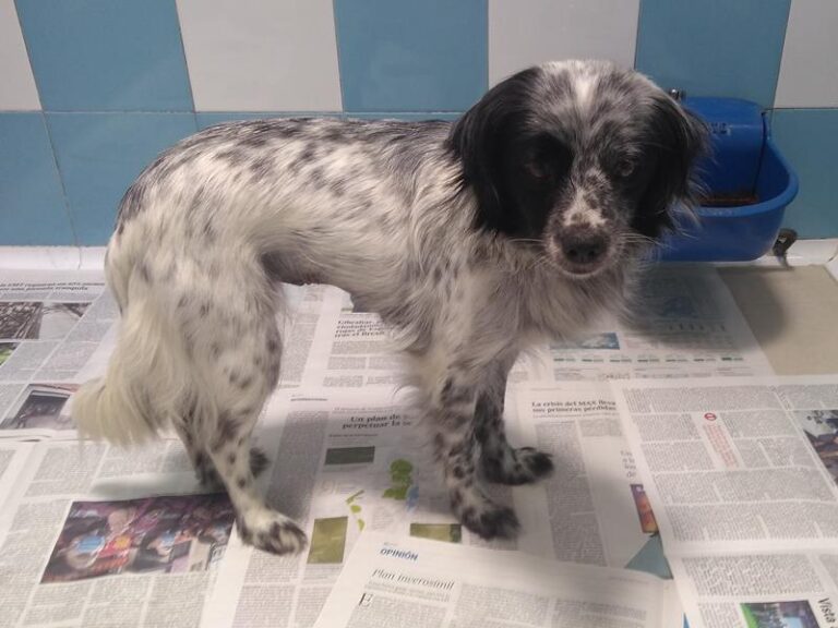 multimedia-foto63235-765-1