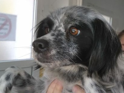 multimedia-foto63236-765-1