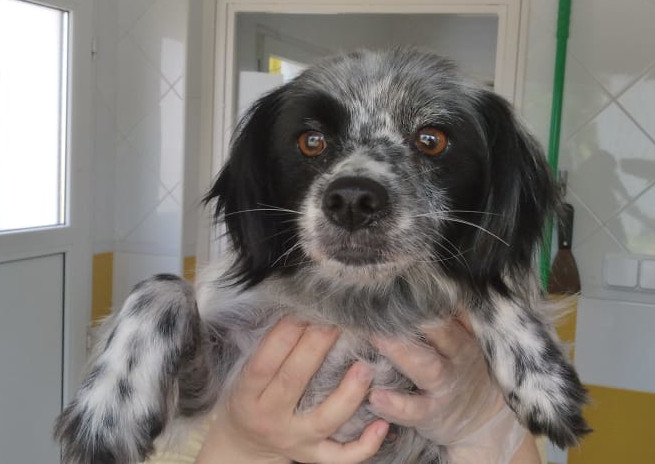 multimedia-foto63237-765-1