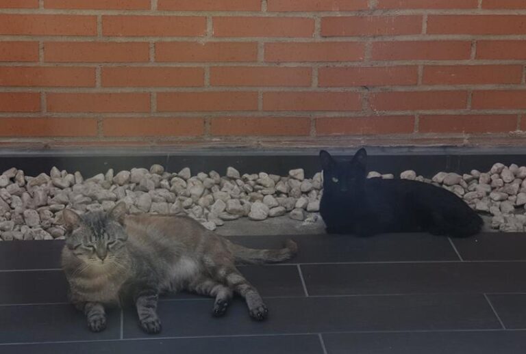 multimedia-foto63249-159-1