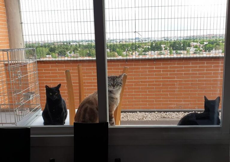 multimedia-foto63251-160-1