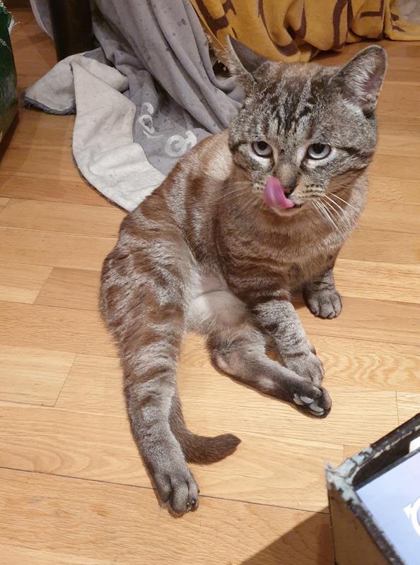 multimedia-foto63252-160-1