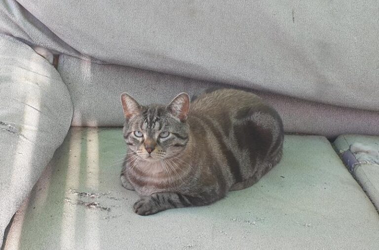 multimedia-foto63253-160-1