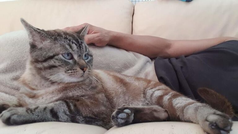 multimedia-foto63254-160-1