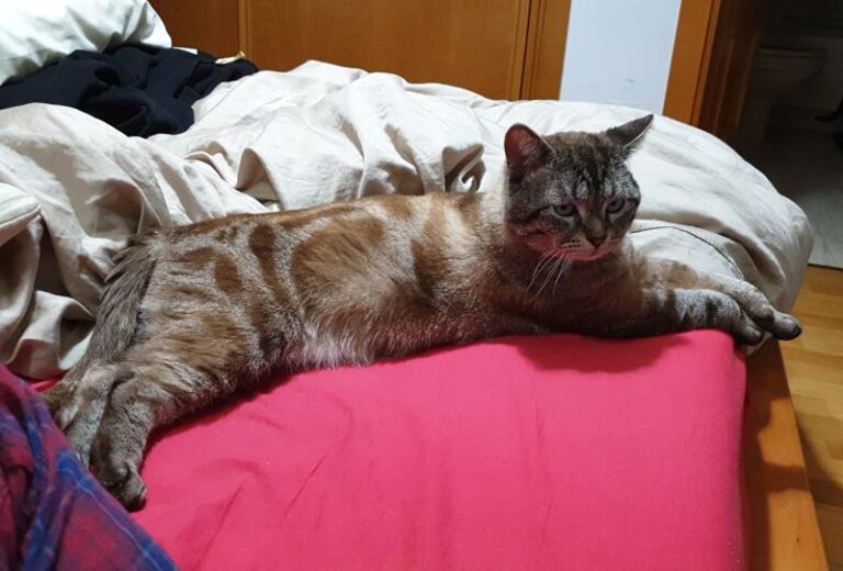 multimedia-foto63256-160-1