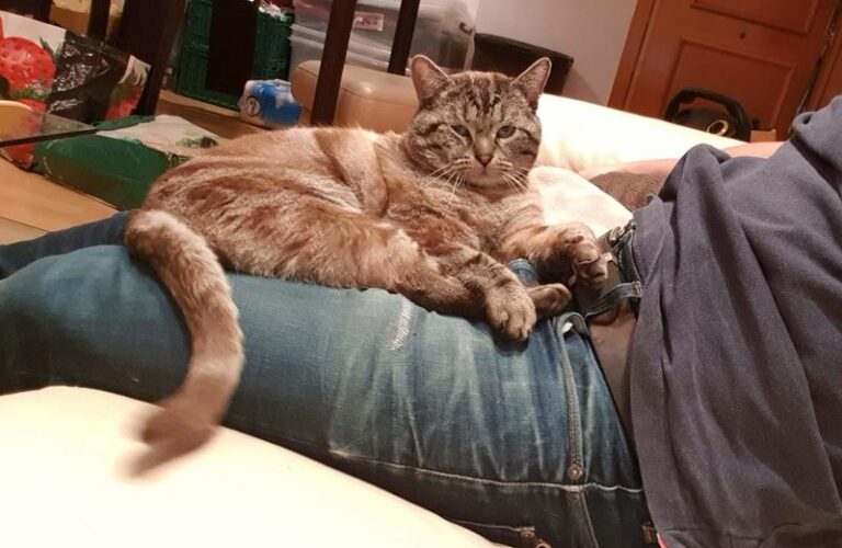 multimedia-foto63258-161-1