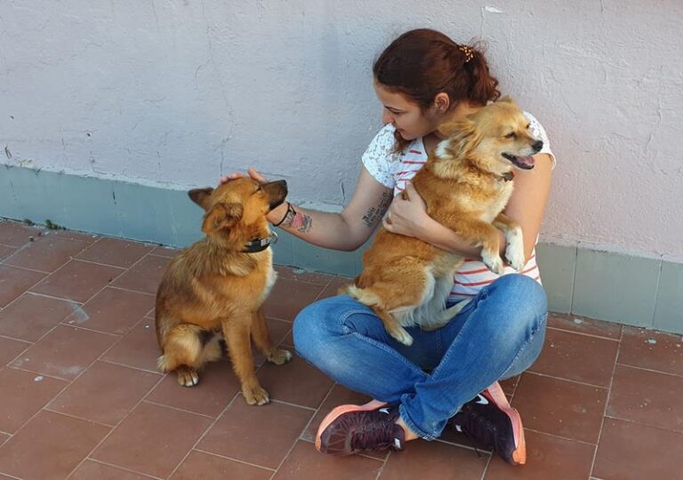 multimedia-foto63259-787-1