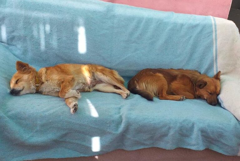 multimedia-foto63260-788-1