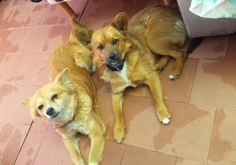 multimedia-foto63261-788-1