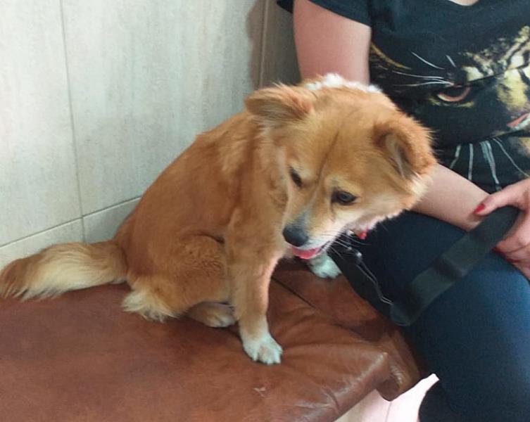 multimedia-foto63262-788-1