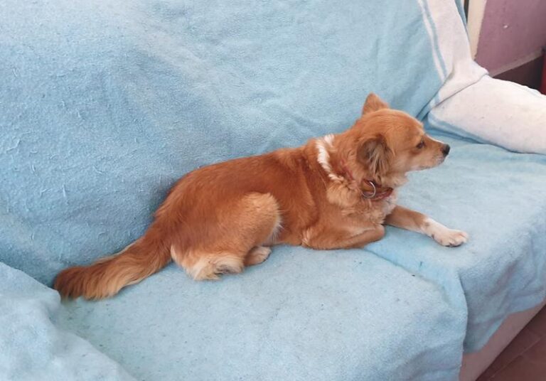 multimedia-foto63263-788-1