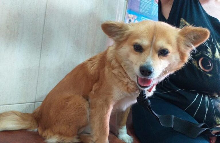 multimedia-foto63264-788-1