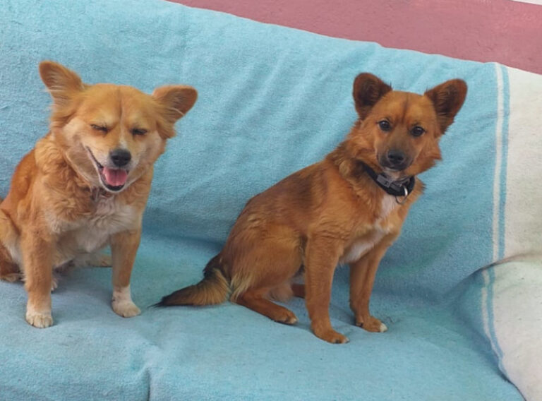 multimedia-foto63274-24-1