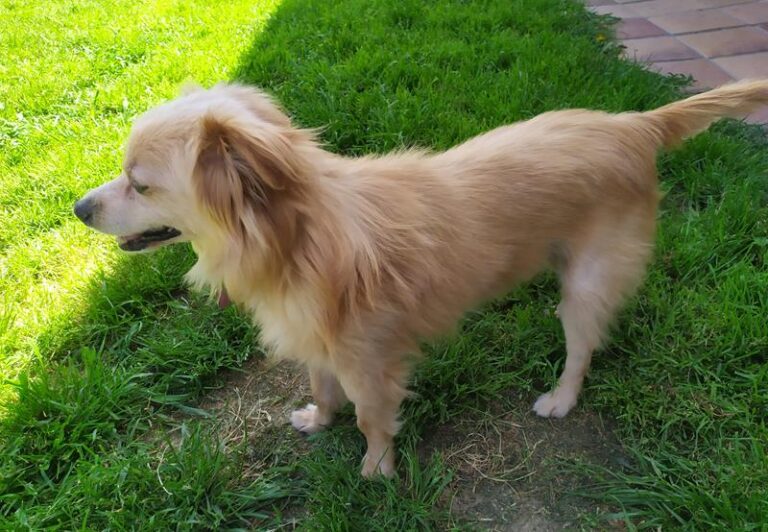 multimedia-foto63276-657-1