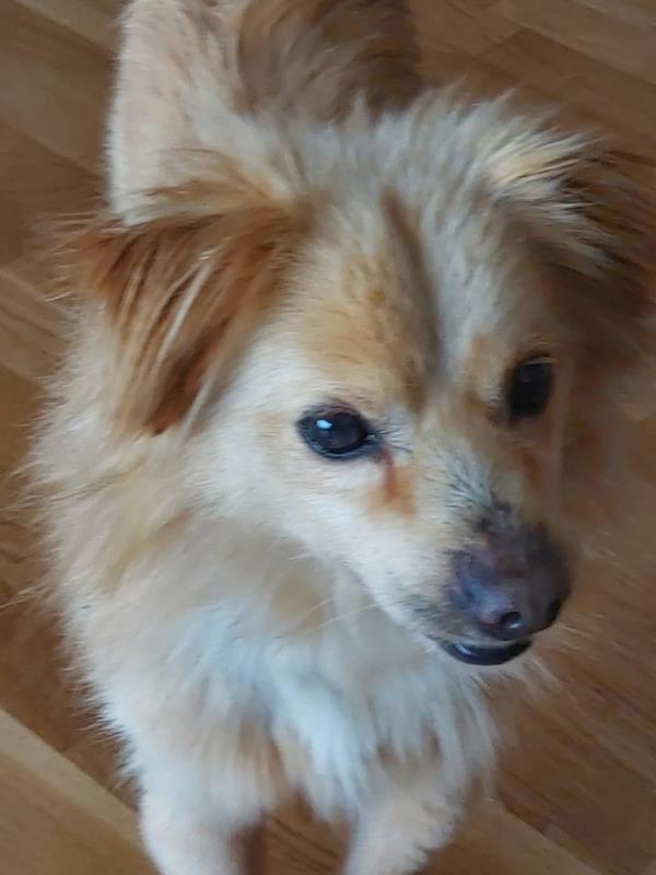 multimedia-foto63277-658-1