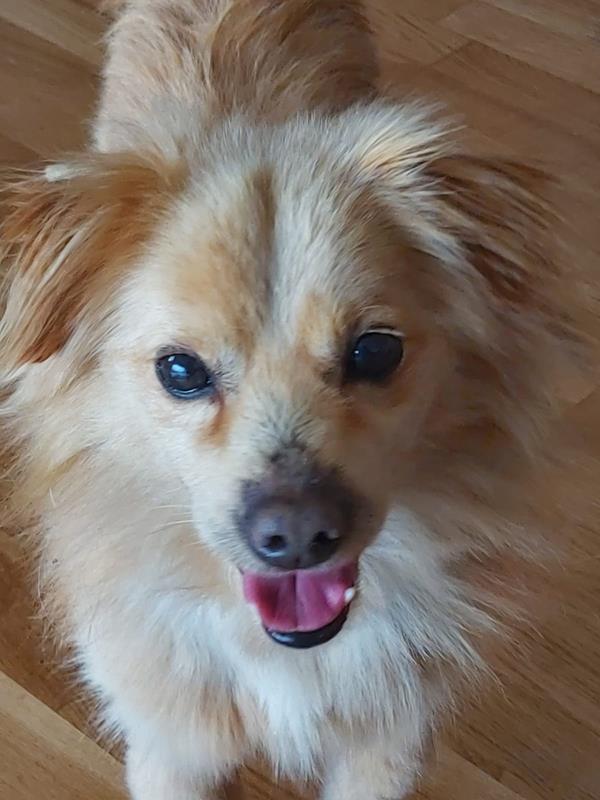 multimedia-foto63278-658-1